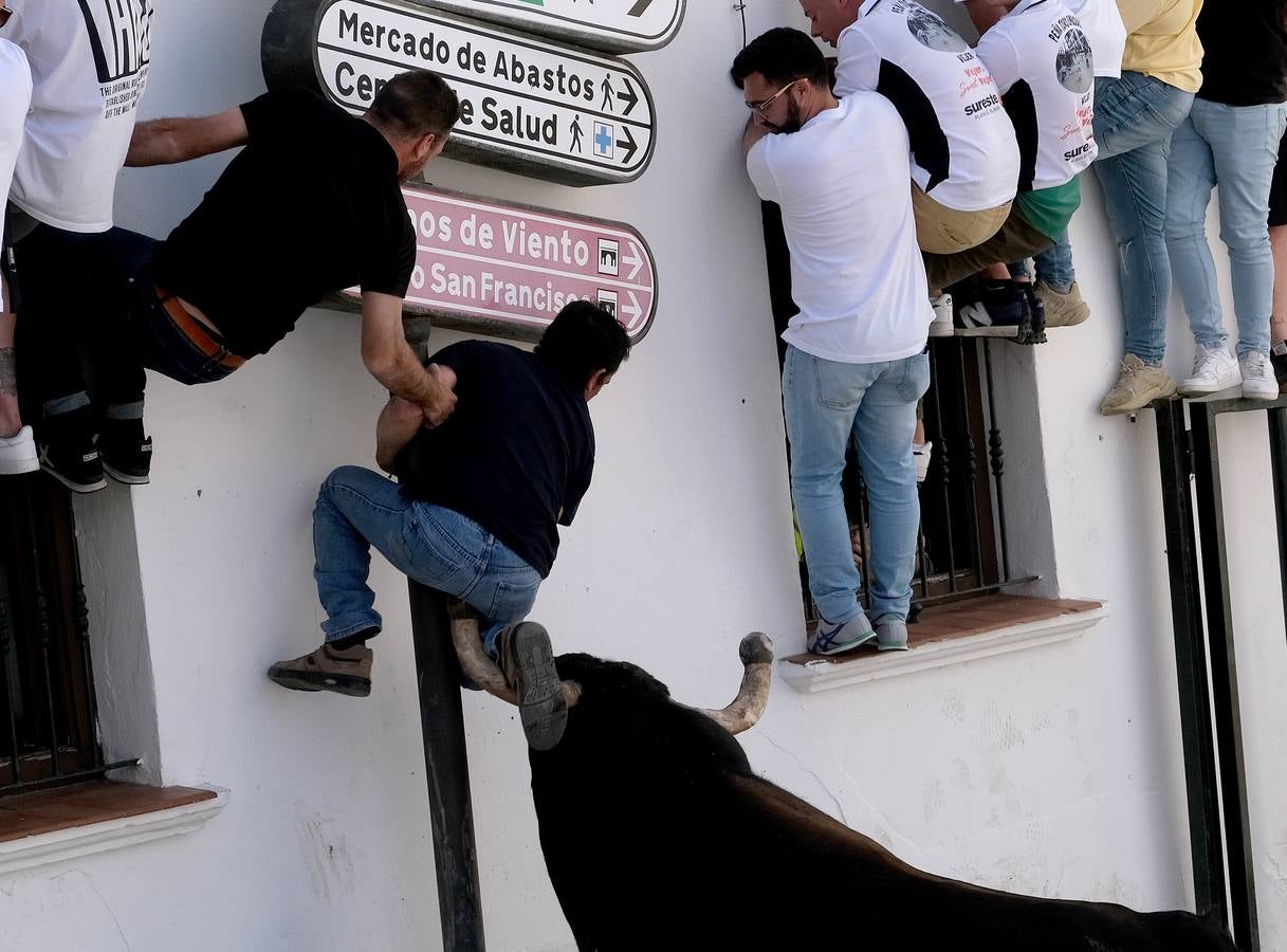 Fotos: Así ha sido la fiesta del Toro Embolao en Vejer