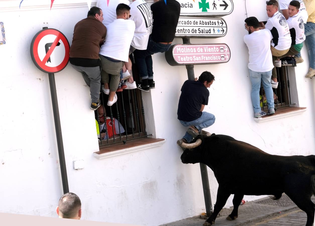 Fotos: Así ha sido la fiesta del Toro Embolao en Vejer