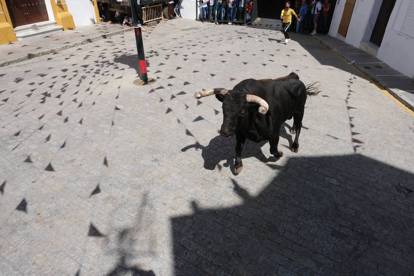 Fotos: Así ha sido la fiesta del Toro Embolao en Vejer