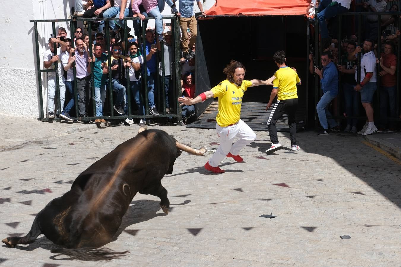 Fotos: Así ha sido la fiesta del Toro Embolao en Vejer