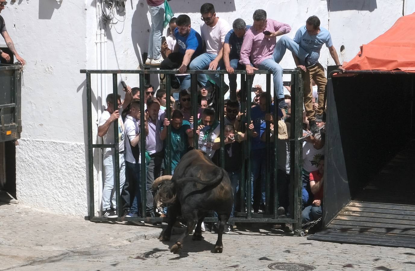 Fotos: Así ha sido la fiesta del Toro Embolao en Vejer