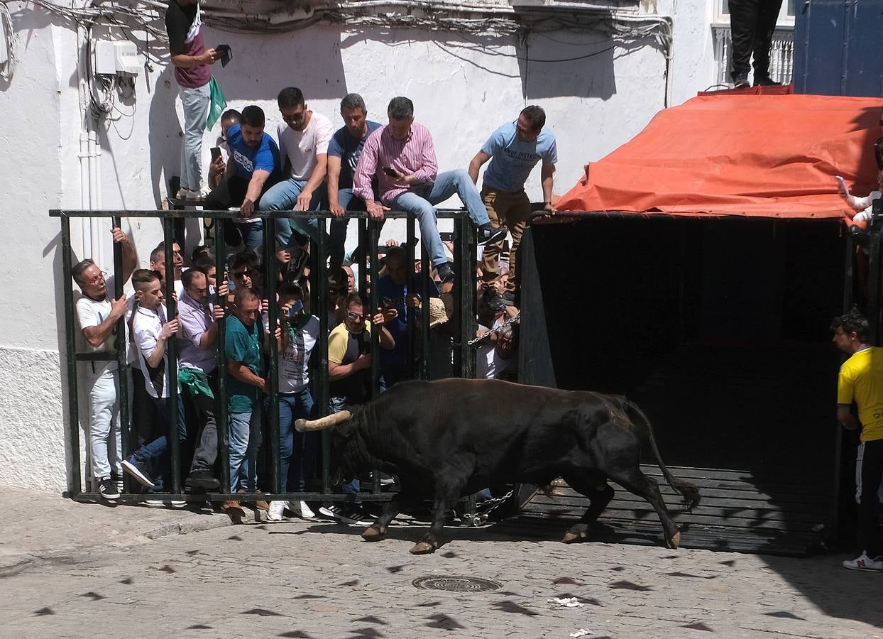 Fotos: Así ha sido la fiesta del Toro Embolao en Vejer