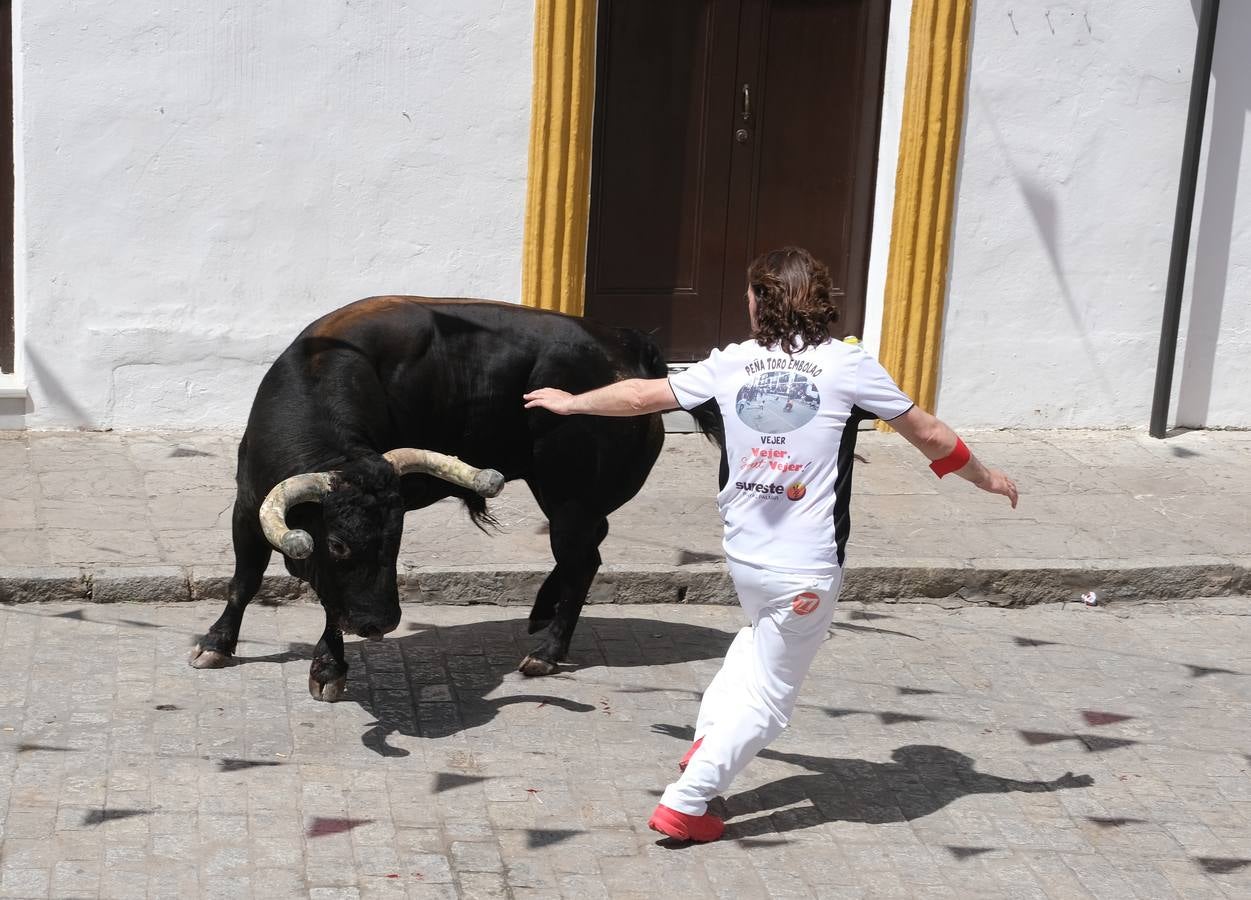 Fotos: Así ha sido la fiesta del Toro Embolao en Vejer