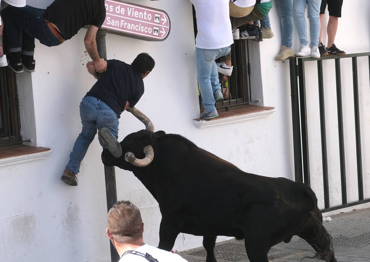 Fotos: Así ha sido la fiesta del Toro Embolao en Vejer