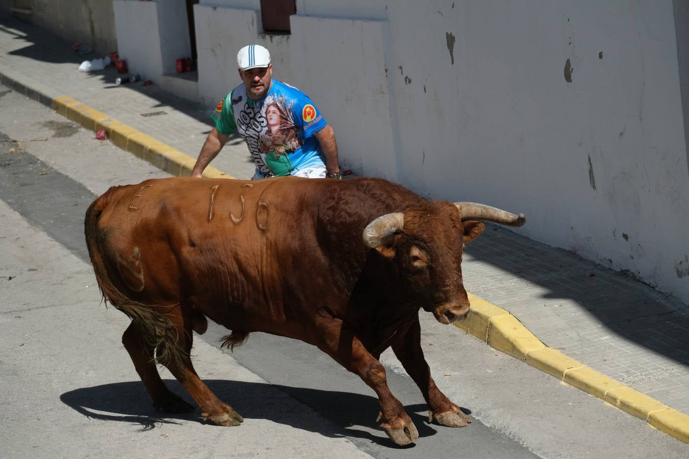 Fotos: las imágenes del Toro del Aleluya en Arcos de la Frontera