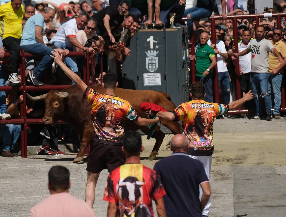 Fotos: las imágenes del Toro del Aleluya en Arcos de la Frontera