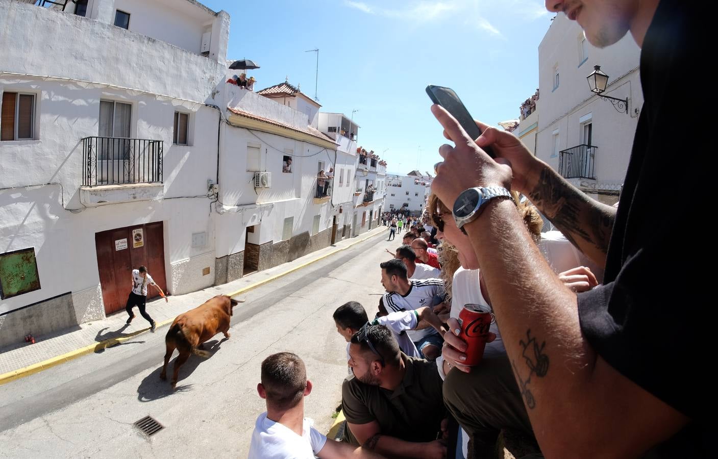 Fotos: las imágenes del Toro del Aleluya en Arcos de la Frontera