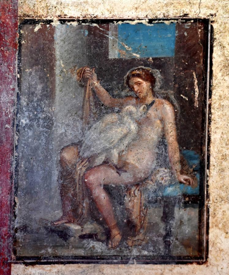 El mito de Leda y el cisne. Uno de los últimos hallazgos de Pompeya que forman parte de la exposición 'Arte y sensualidad'. Según la mitología, Leda, esposa de Tindareo de Esparta, paseaba junto al río Eurotas cuando fue seducida o violada -depende de las versiones- por un cisne, que resultó ser Zeus camuflado. El fresco descubierto retrata ese encuentro en una escena de gran sensualidad. Fue encontrado en el dormitorio de una casa en la calle del Vesubio, mientras se llevaban a cabo «trabajos de remodelación de los frentes de excavación».