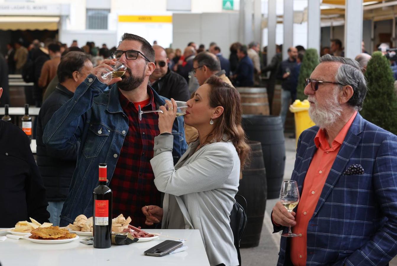 La apertura al público de la Cata del Vino de Córdoba, en imagenes