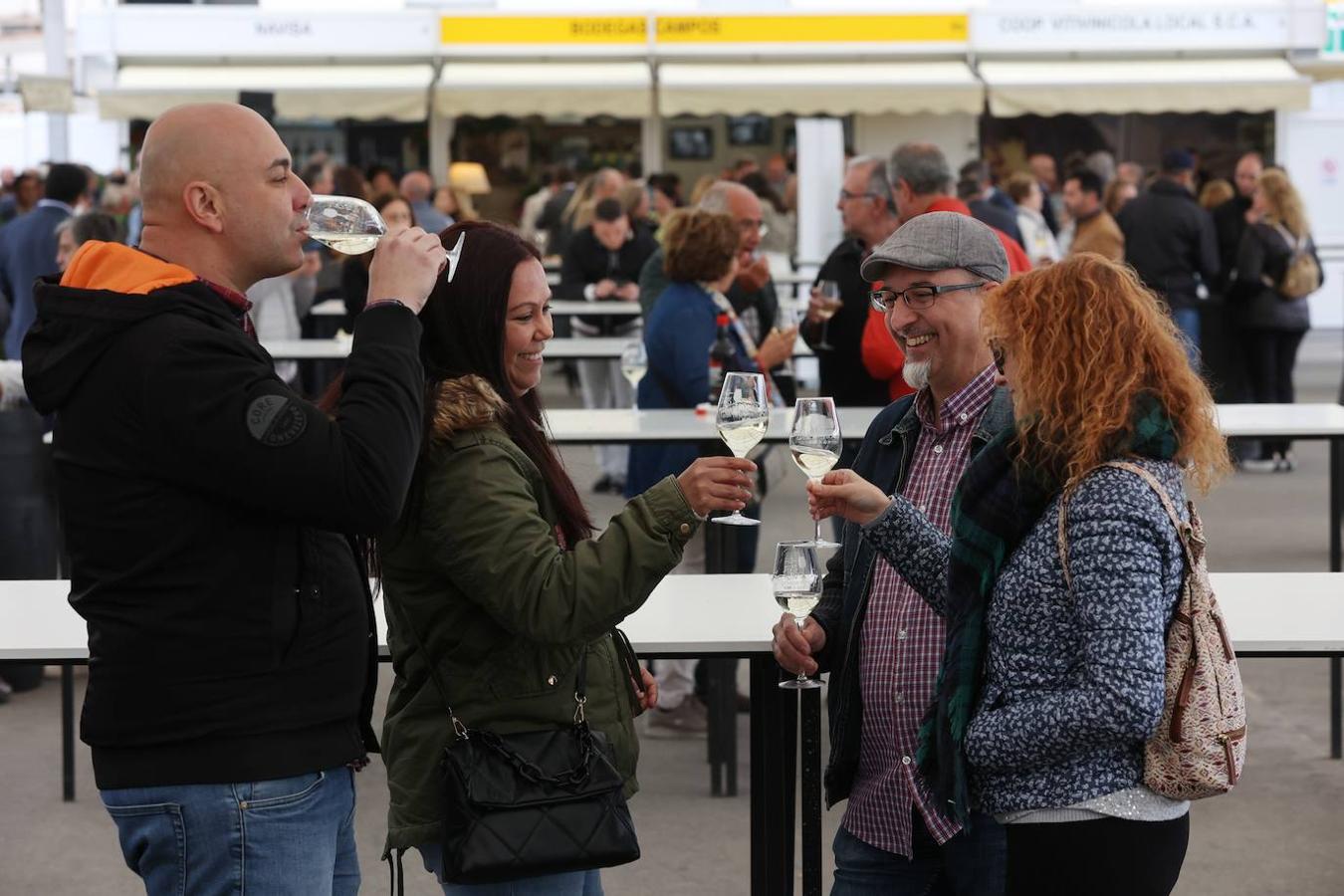 La apertura al público de la Cata del Vino de Córdoba, en imagenes