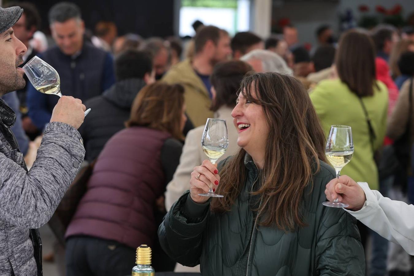 La apertura al público de la Cata del Vino de Córdoba, en imagenes