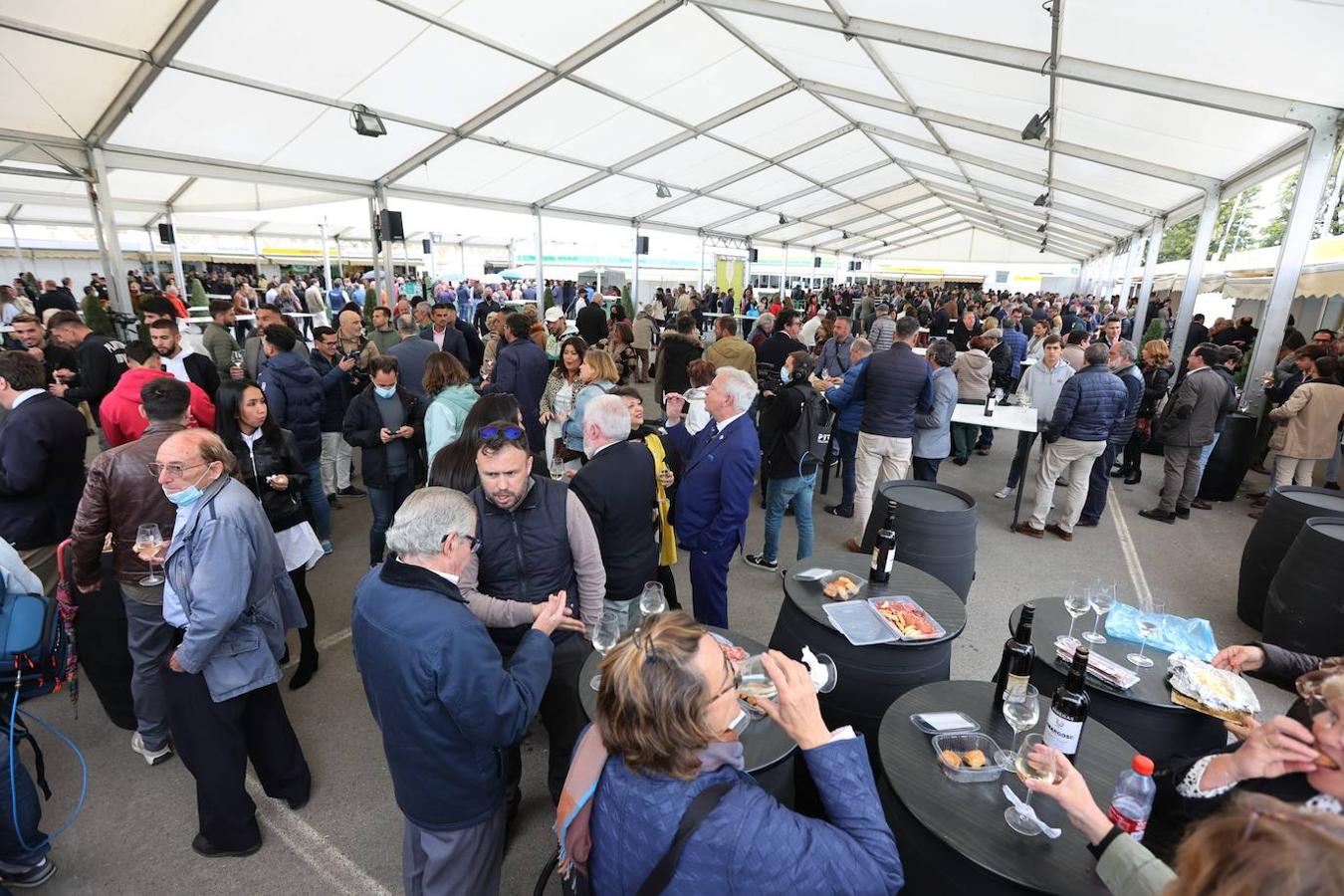 La apertura al público de la Cata del Vino de Córdoba, en imagenes