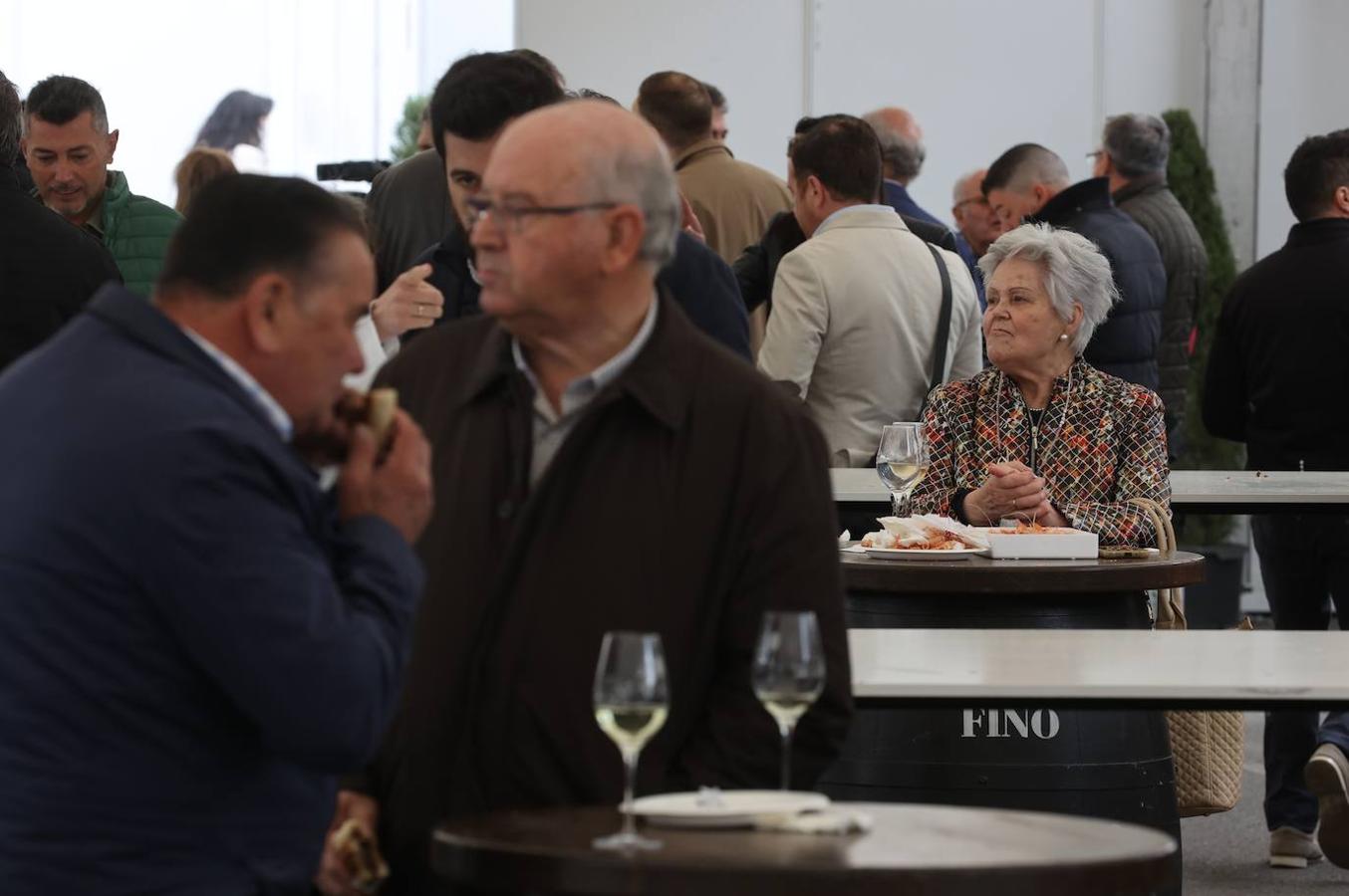 La apertura al público de la Cata del Vino de Córdoba, en imagenes