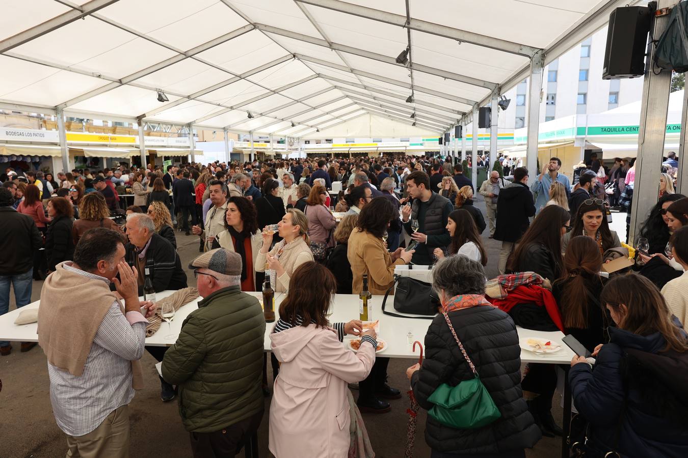 El ambientazo de la Cata del Vino de Córdoba 2022 en su cuarto día, en imágenes