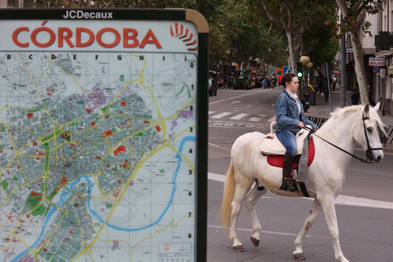 La romería de Santo Domingo de Córdoba, en imágenes