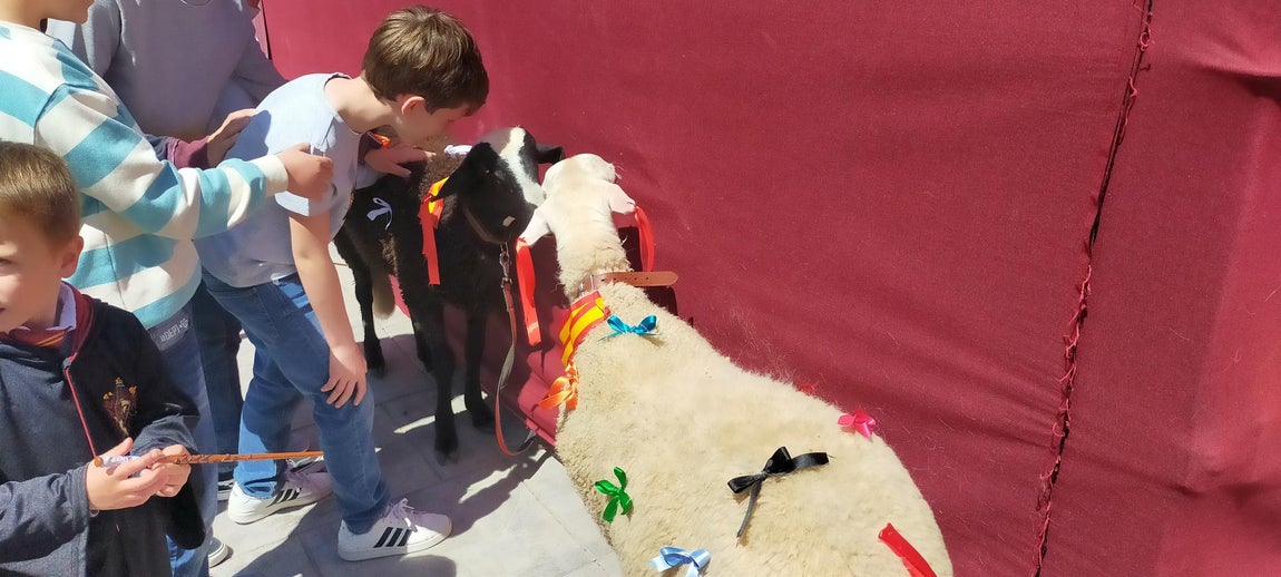 Los danzantes del Cristo de la Viga, en imágenes