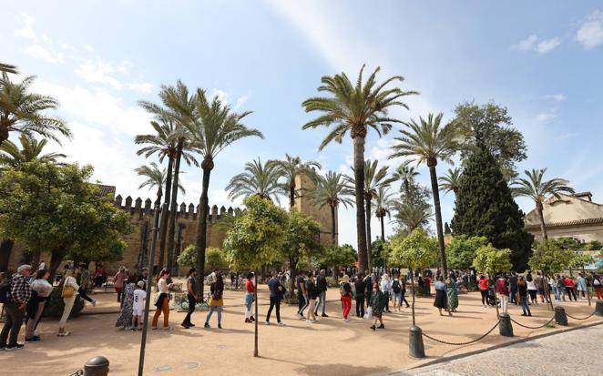 En imágenes, las colas de los turistas extranjeros vuelven a Córdoba