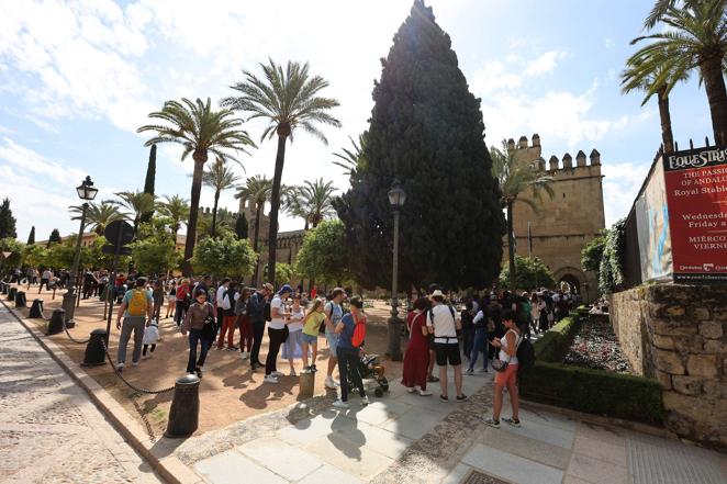 En imágenes, las colas de los turistas extranjeros vuelven a Córdoba