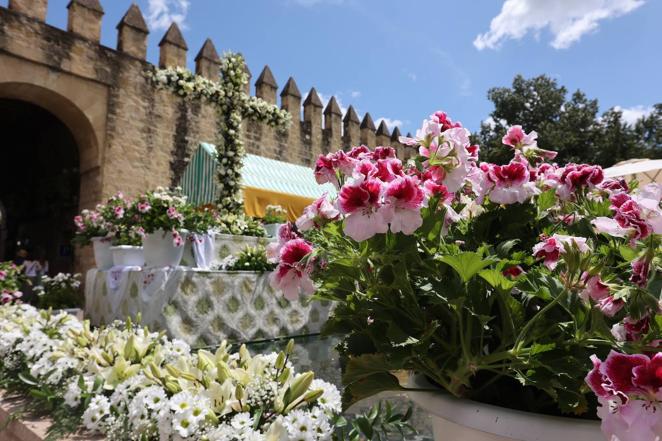 El inicio de las Cruces de Mayo de Córdoba 2022, en imágenes