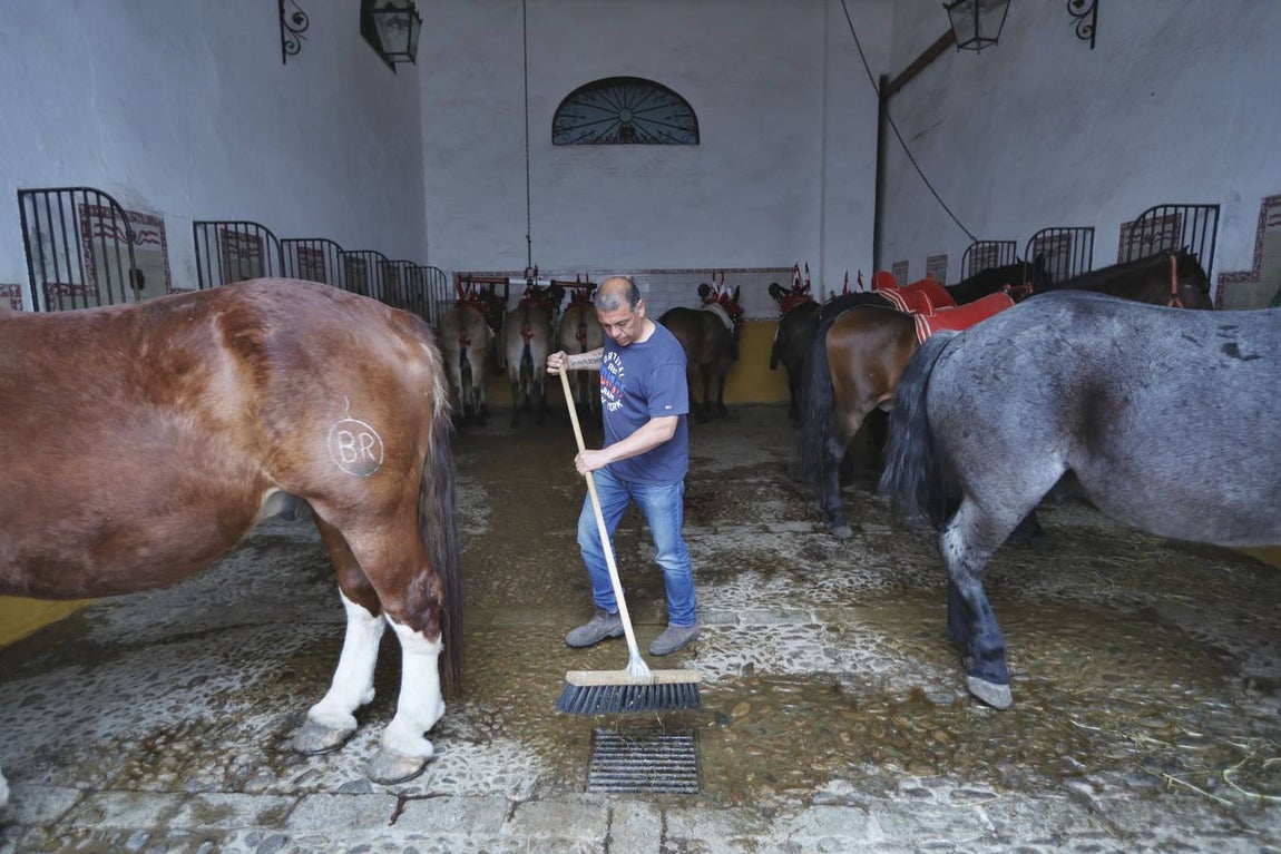 Corrida de toros de El Fandi, Perera y Luque en la plaza de toros de Sevilla en 2022. J.M. SERRANO