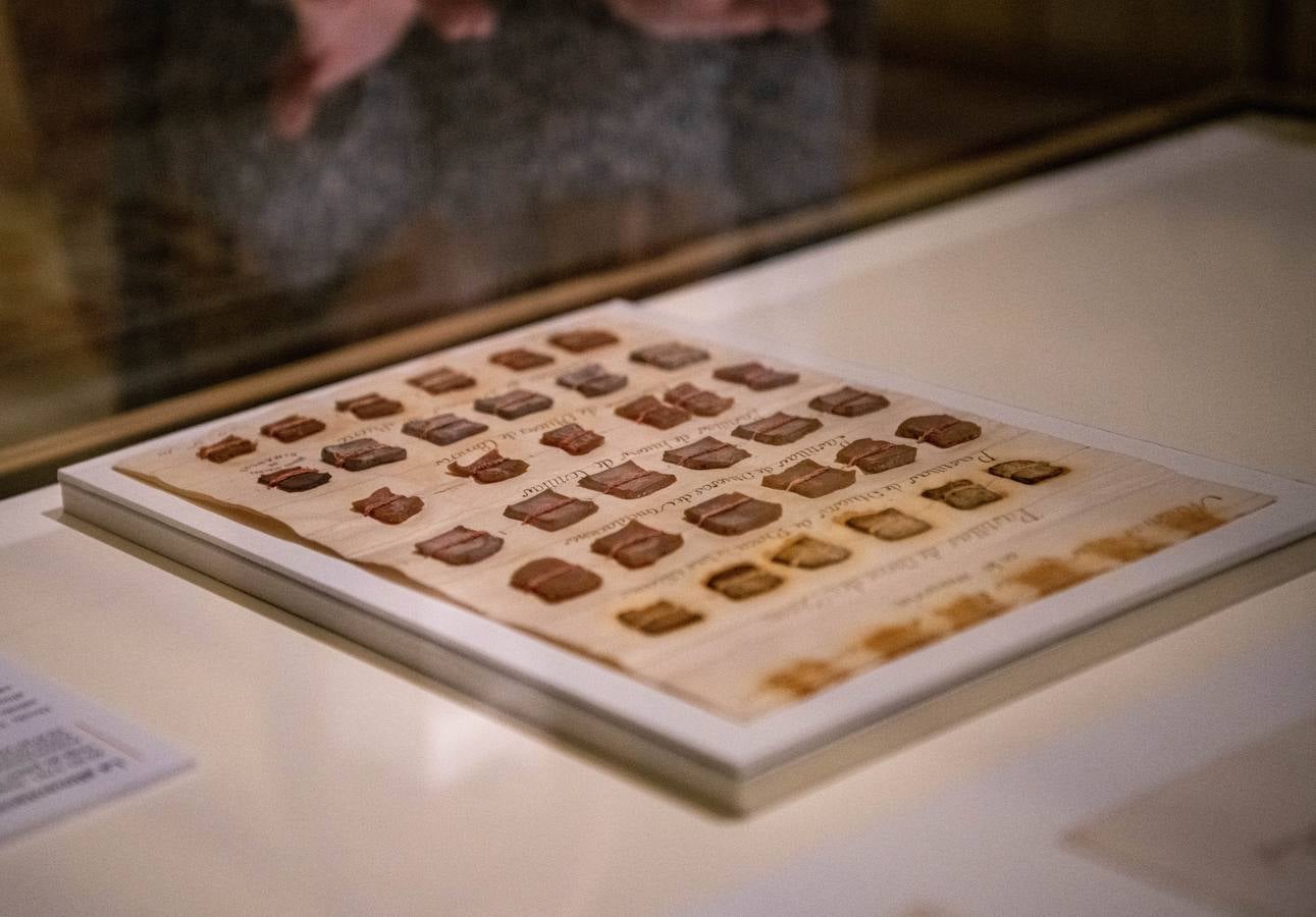 Exposición de documentos sobre grandes descubrimientos en el Archivo de Indias. CRISTINA GÓMEZ