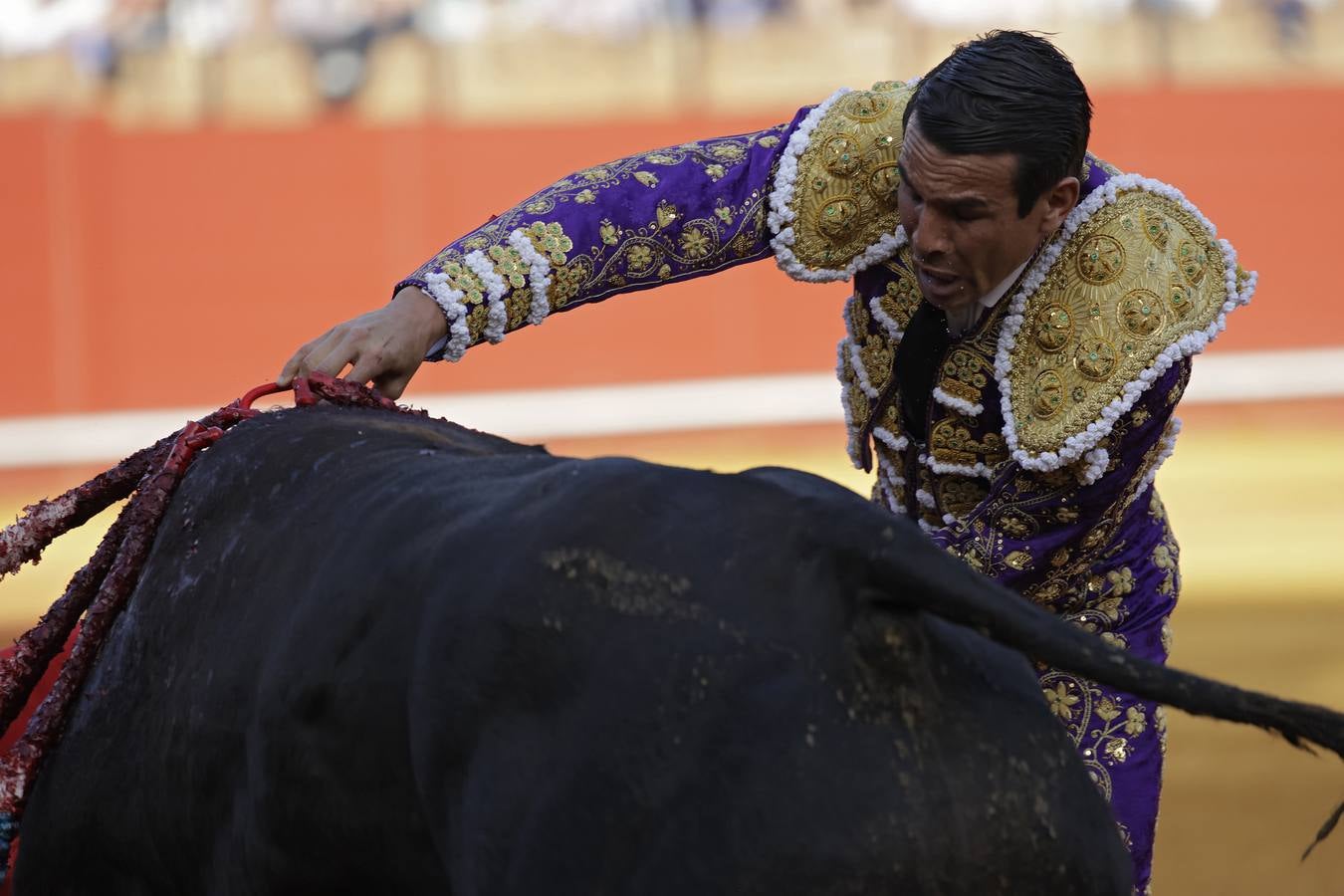 Corrida de Morante, Urdiales y Manzanares en la plaza de toros de Sevilla en 2022. JUAN FLORES