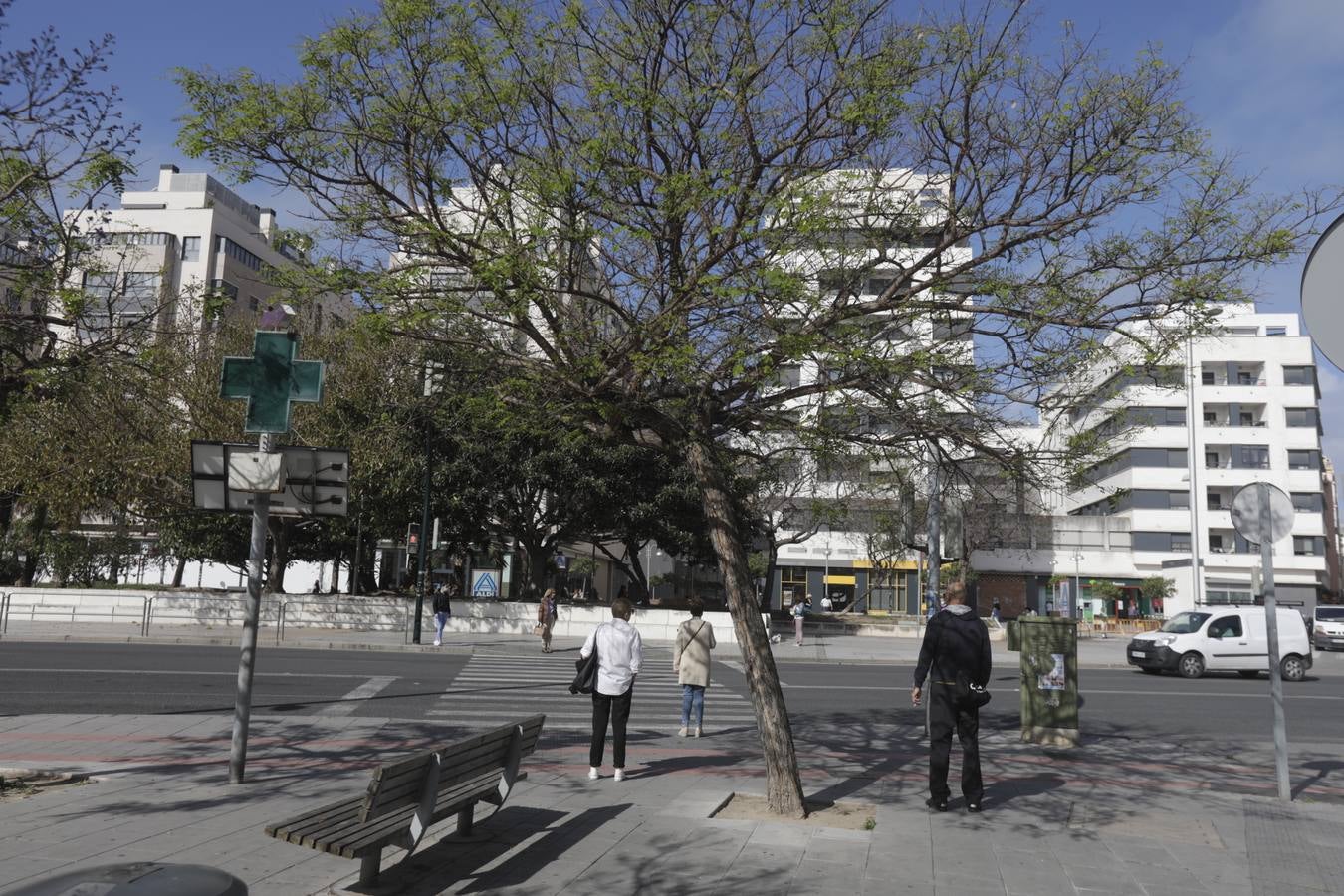 Fotos: El barrio de Segunda Aguada, en imágenes