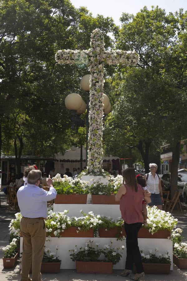 Las Cruces de Mayo premiadas en 2022 en Córdoba, en imágenes