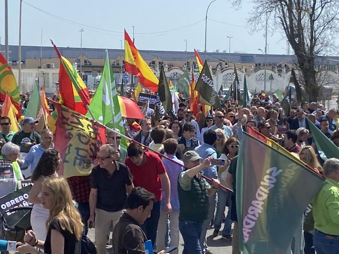 Fotos: Las manifestaciones del Primero de Mayo en Cádiz, en imágenes