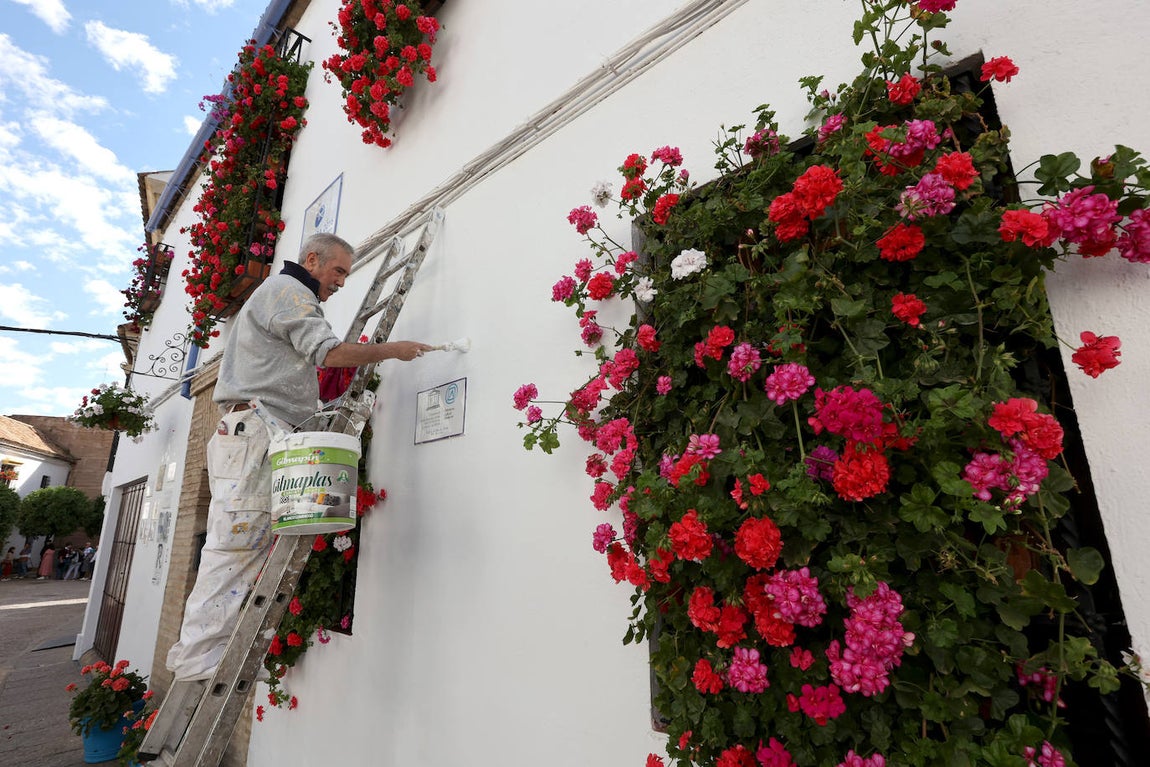 Los preparativos de los Patios de Córdoba, en imágenes