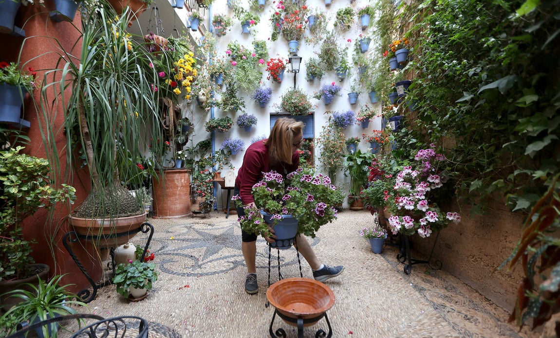 Los preparativos de los Patios de Córdoba, en imágenes