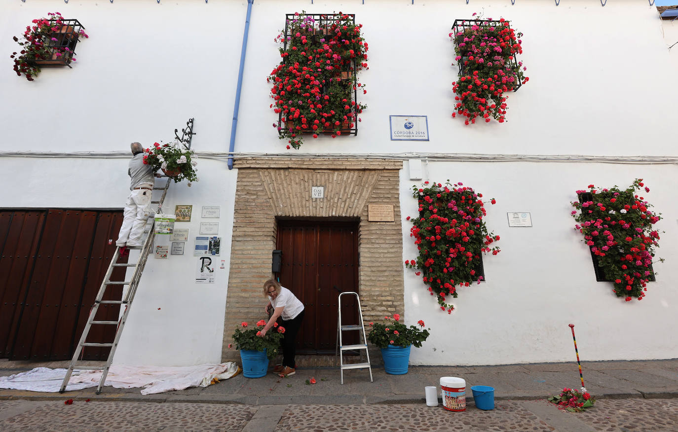 Los preparativos de los Patios de Córdoba, en imágenes