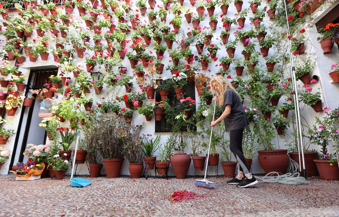Los preparativos de los Patios de Córdoba, en imágenes