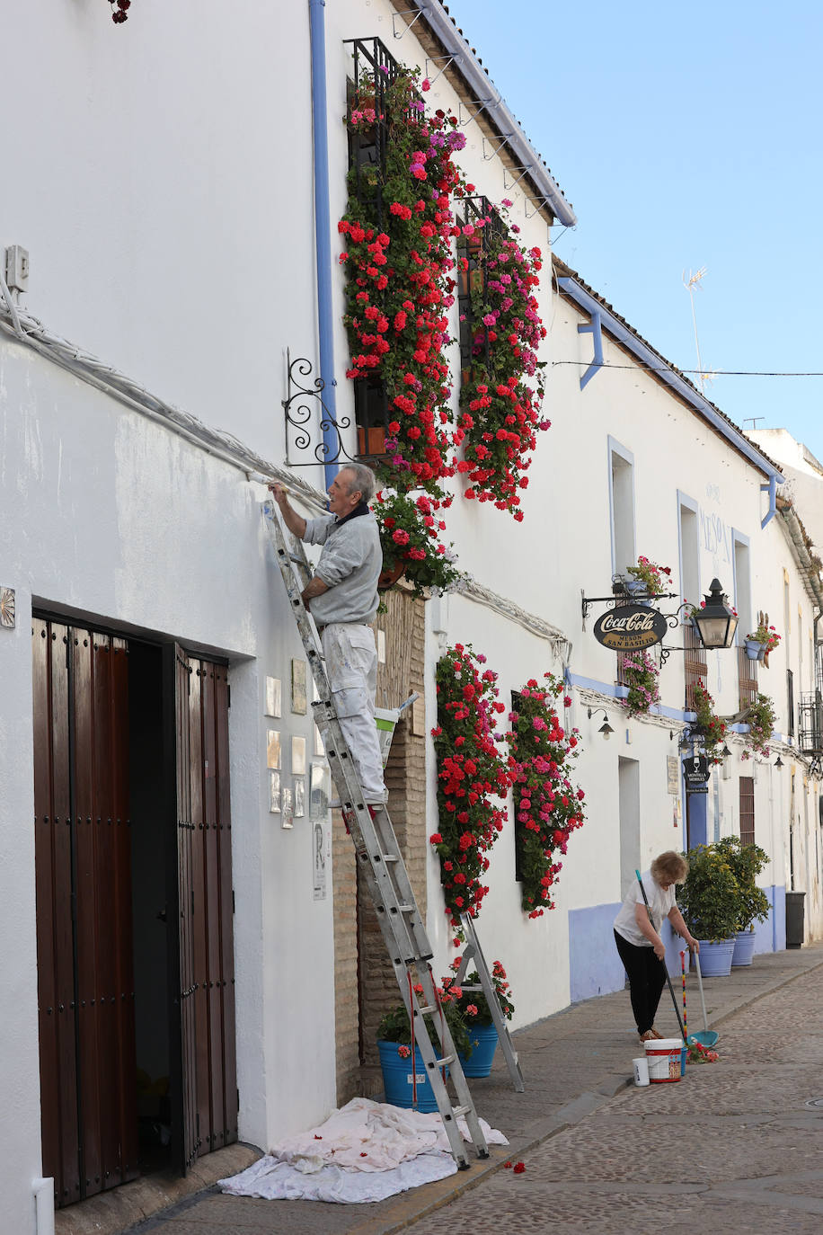Los preparativos de los Patios de Córdoba, en imágenes
