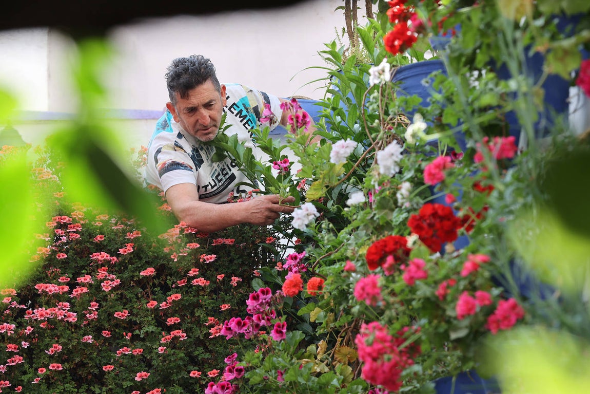 Los preparativos de los Patios de Córdoba, en imágenes