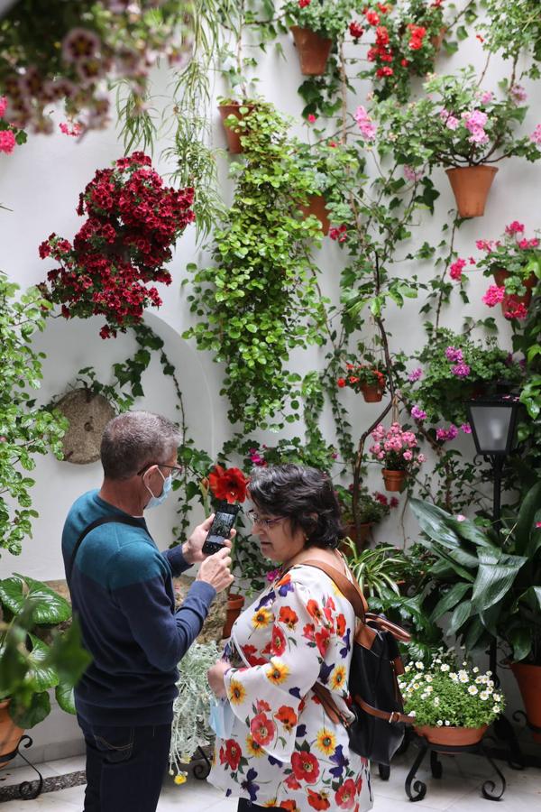 La ruta de San Basilio de los Patios de Córdoba, en imágenes