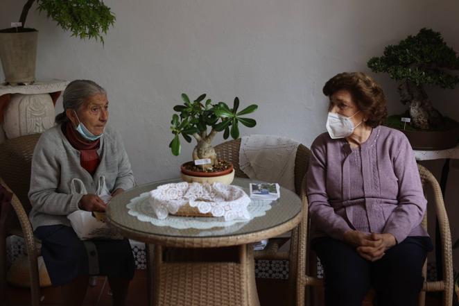 La ruta de San Basilio de los Patios de Córdoba, en imágenes