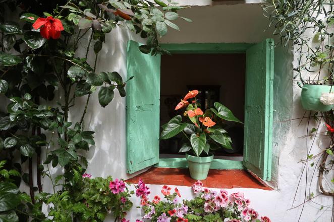 La ruta de San Basilio de los Patios de Córdoba, en imágenes