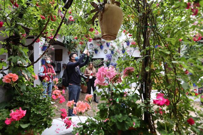 La ruta de San Basilio de los Patios de Córdoba, en imágenes