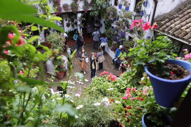 La ruta de San Basilio de los Patios de Córdoba, en imágenes