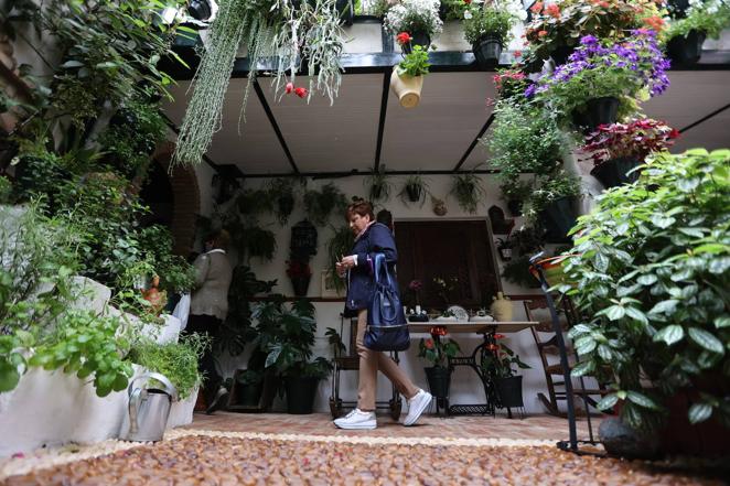 La ruta de San Basilio de los Patios de Córdoba, en imágenes