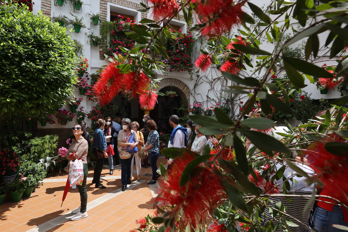 Patios de Córdoba 2022 | La ruta de Santa Marina y San Agustín, en imágenes