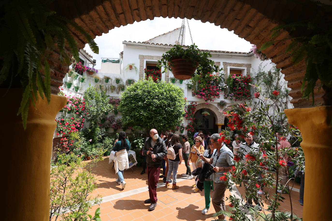 Patios de Córdoba 2022 | La ruta de Santa Marina y San Agustín, en imágenes