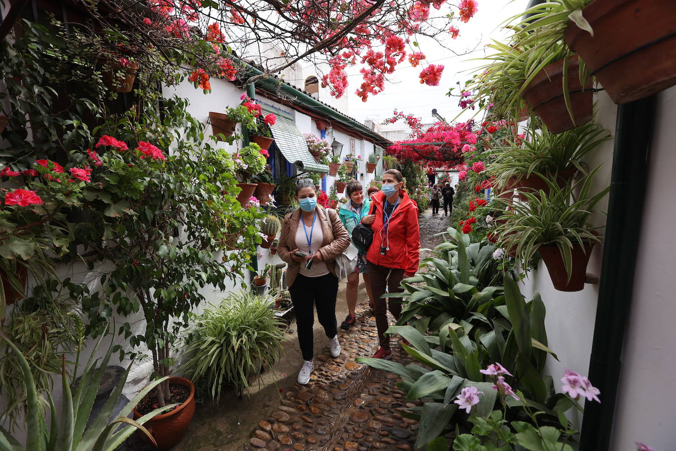 Patios de Córdoba 2022 | La ruta de Santa Marina y San Agustín, en imágenes