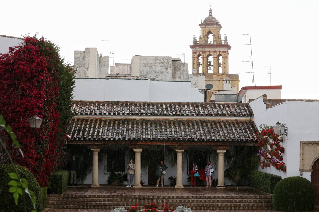 Patios Córdoba 2022 | En imágenes, jornada de puertas abiertas en Viana