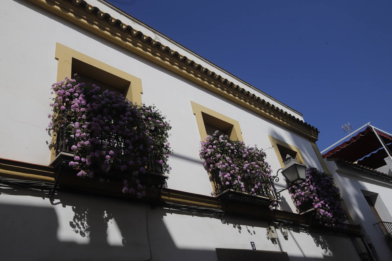 Patios de Córdoba 2022 | El concurso de Rejas y Balcones, en imágenes