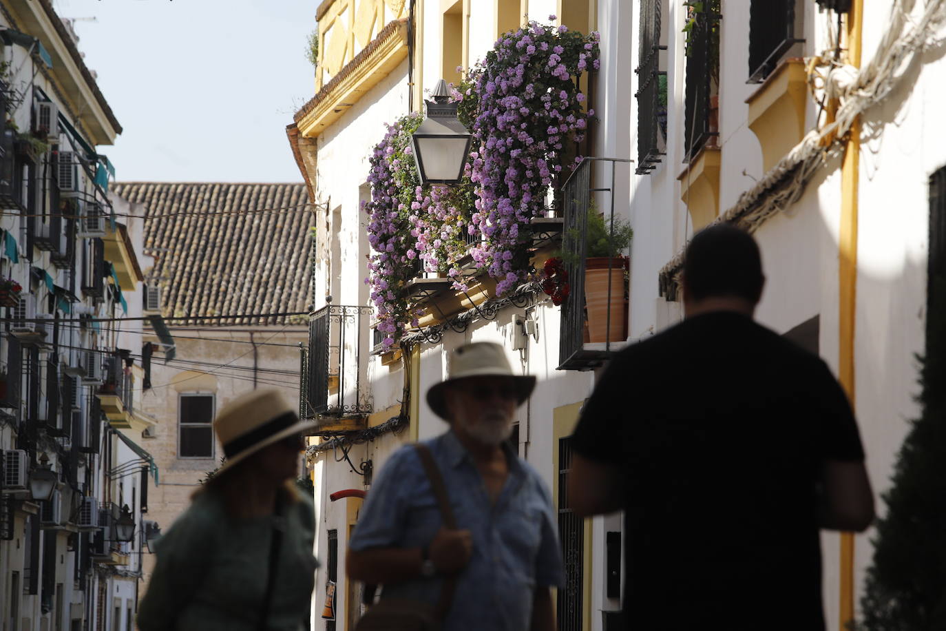 Patios de Córdoba 2022 | El concurso de Rejas y Balcones, en imágenes