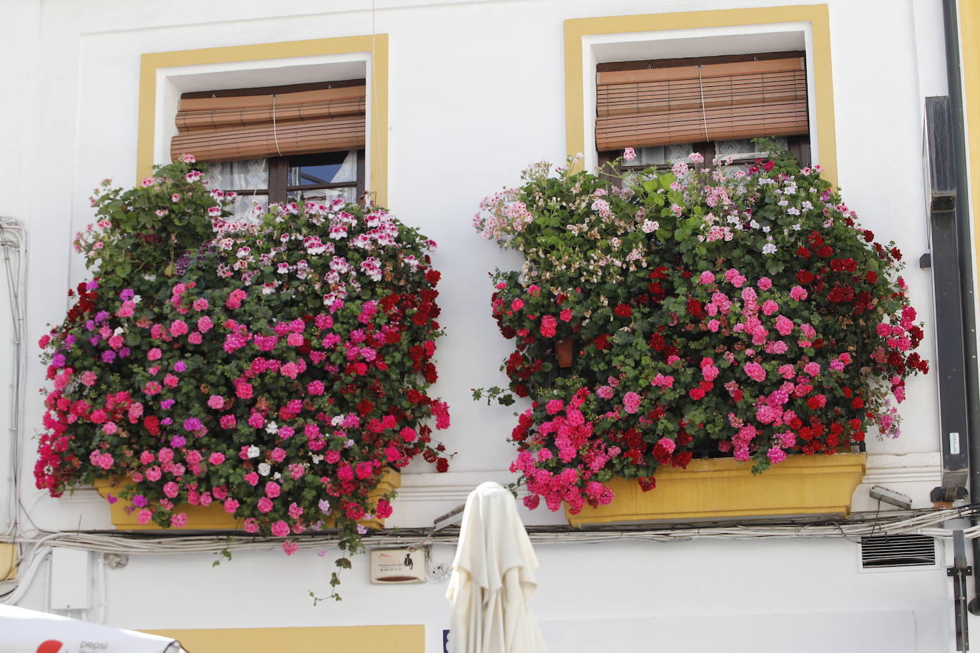 Patios de Córdoba 2022 | El concurso de Rejas y Balcones, en imágenes