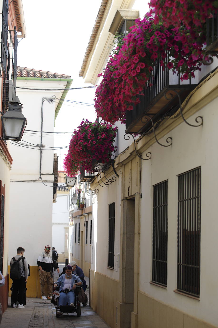 Patios de Córdoba 2022 | El concurso de Rejas y Balcones, en imágenes