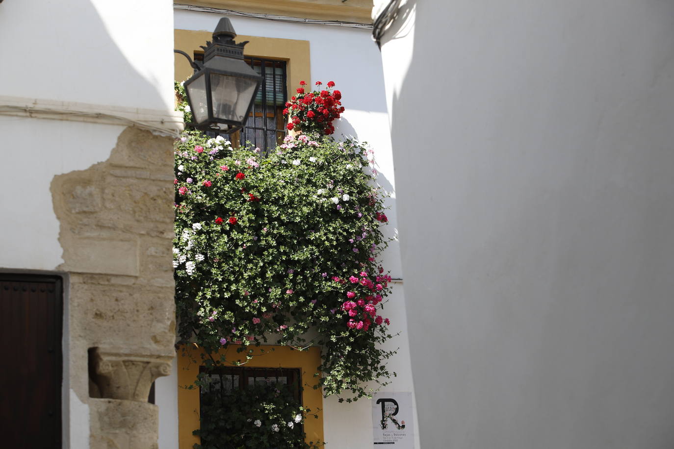 Patios de Córdoba 2022 | El concurso de Rejas y Balcones, en imágenes